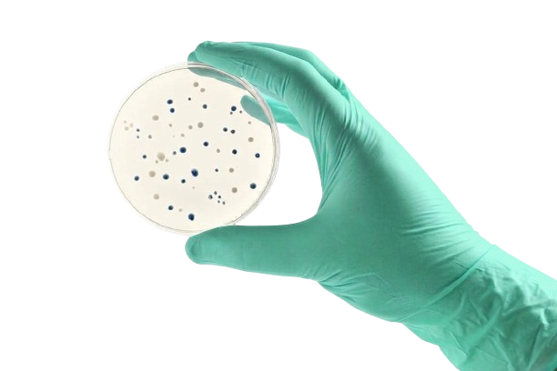 TNT Nanobiotech Lab